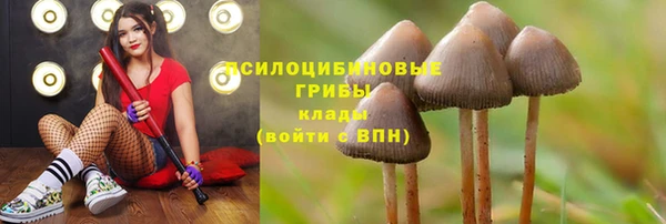 ПСИЛОЦИБИНОВЫЕ ГРИБЫ Алексин