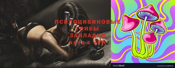 ПСИЛОЦИБИНОВЫЕ ГРИБЫ Алексин