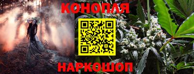 стафф Краснознаменск