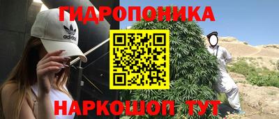 крисы Краснодар