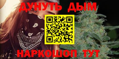 крисы Краснодар