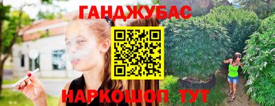крисы Краснодар