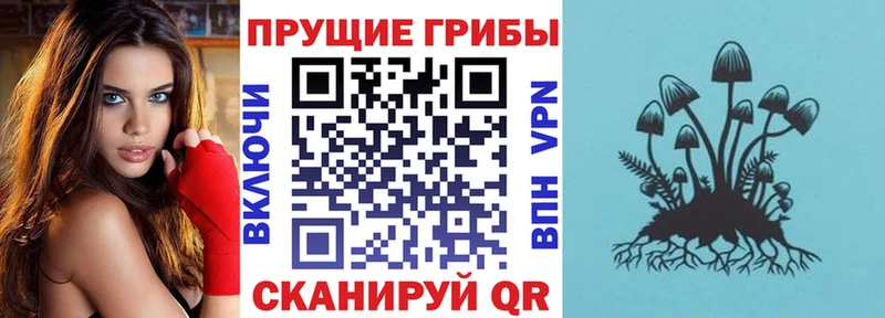 ссылка на мегу   Еманжелинск  Галлюциногенные грибы Psilocybine cubensis 