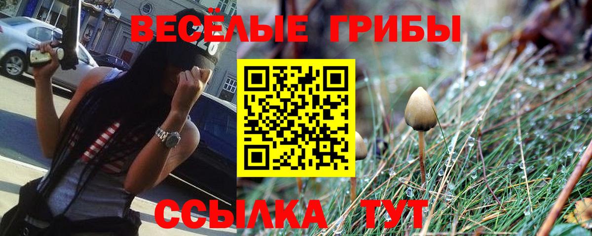 Галлюциногенные грибы Psilocybe Еманжелинск