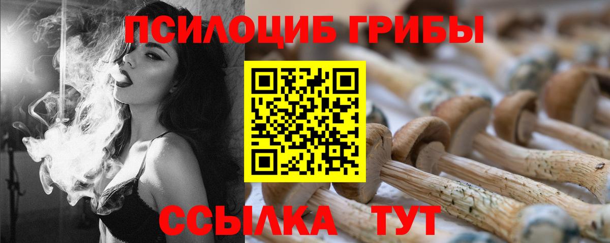 Псилоцибиновые грибы MAGIC MUSHROOMS  Вход с VPN  Еманжелинск 